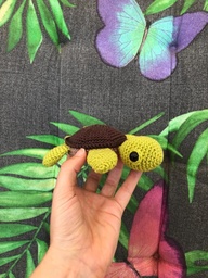 Schildpadje